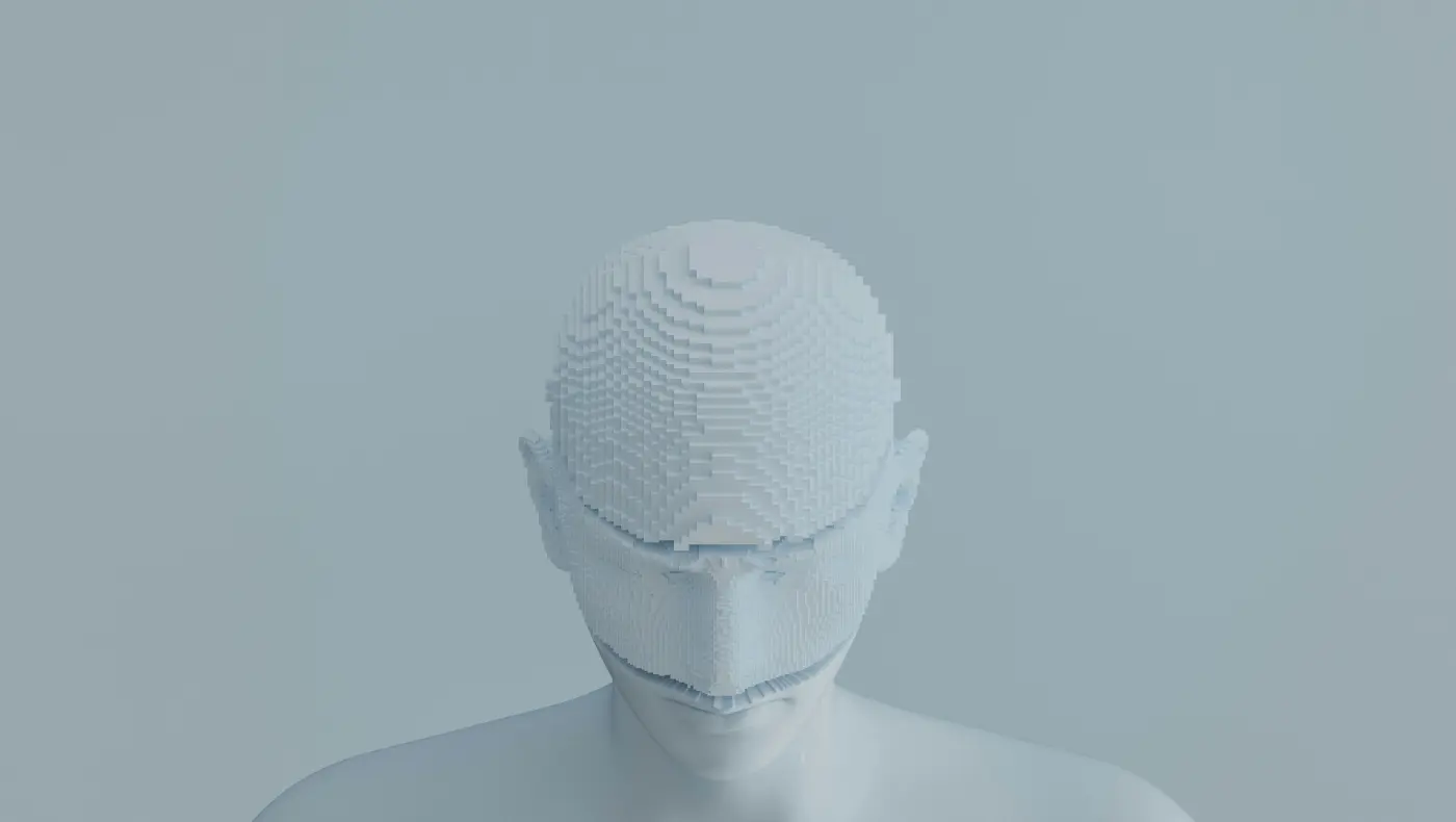 Abstraktní 3D vizualizace lidské hlavy složené z digitálních bloků, symbolizující biometrické údaje a neviditelný sběr dat technologií WhoFi