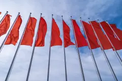 Red Flags