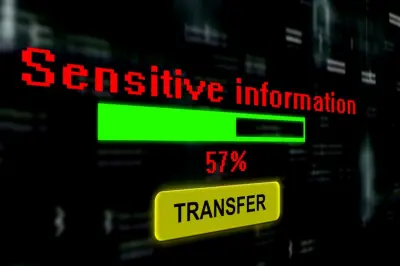 Zkopírování databáze bude porušením obchodního tajemství i bez následného zneužití interních dat